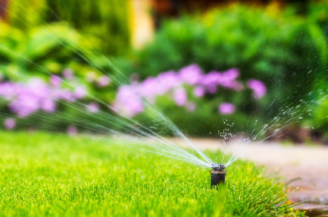 Sprinkler system watering a lush green lawn in Nocatee (32081)