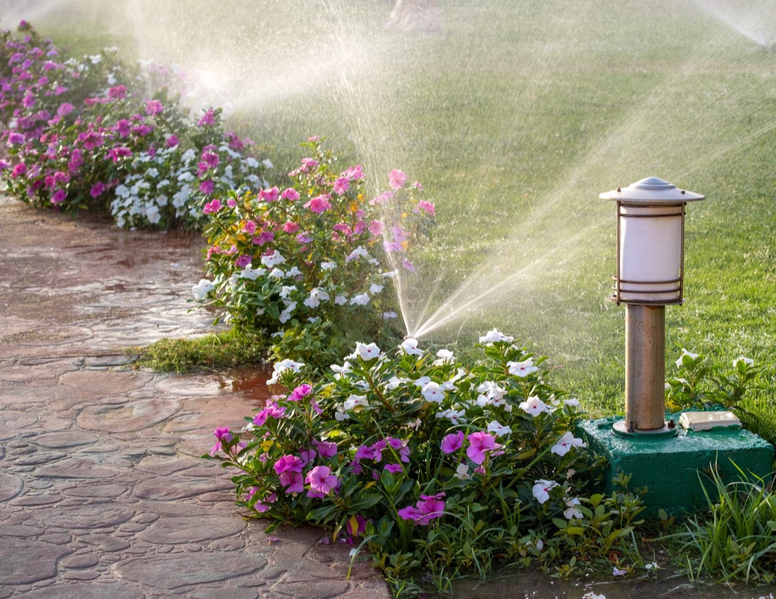 Low-voltage landscape lighting in a Ponte Vedra Beach garden